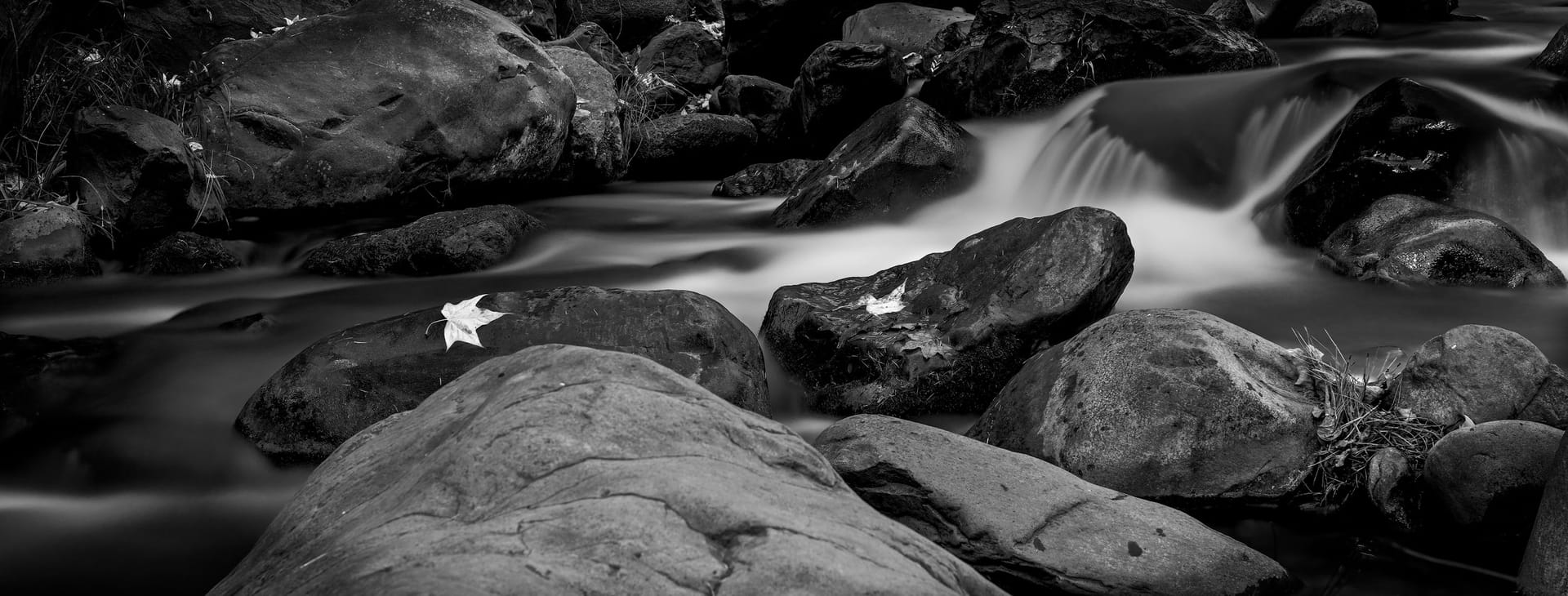 Flowing creek with smooth water over rocks